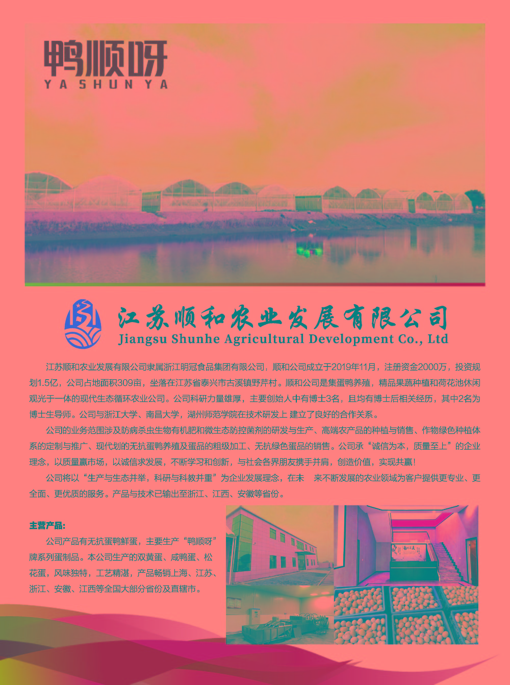 鴨順呀宣傳廣告單_頁面_1